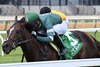 Deterministic wins the 2026 Fort Marcy Stakes at Aqueduct Racetrack