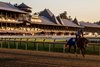 Horses trained by H. James Bond take to the main track of the Saratoga Race Course which officially opened for training Monday May 11, 2026 in preparation for the Belmont Stakes Racing Festival June 3-7, 2026 in Saratoga Springs, N.Y.  Photo by Skip Dickstein