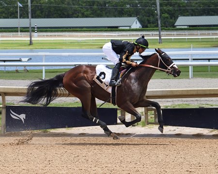 Prime Aurora wins a maiden special weight race at Gulfstream Park