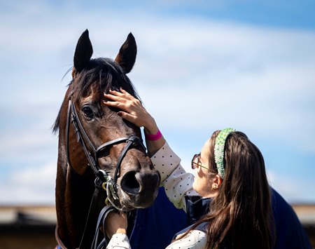 Siblings of group 1 winners including Gstaad will be available at Tattersalls December Foal Sale