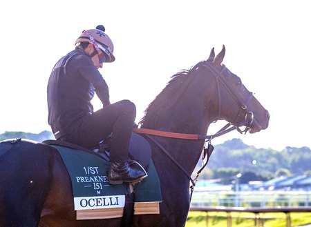 Ocelli at Laurel Park