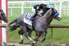 Napoleon Solo wins the 2026 Preakness Stakes at Laurel Park