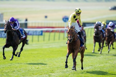 Bow Echo, with a jubilant Billy Loughnane aboard, wins the Two Thousand Guineas at Newmarket Racecourse