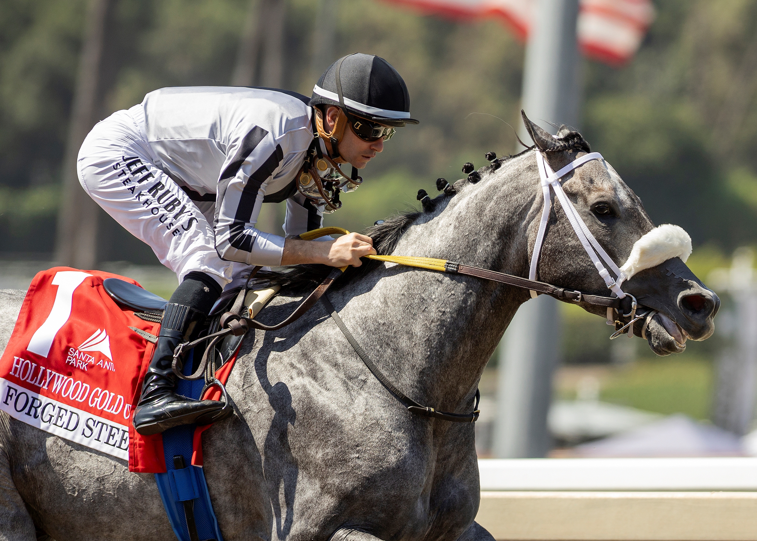 Gentildonna Wins Dramatic Sheema Classic - BloodHorse