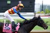 T O Elvis with Ryusei Sakai wins the Churchill Downs, presented by Ford (G1) at Churchill Downs in Louisville, Ky., on May 2, 2026.