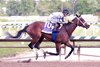 My Miss Mo wins the 2026 George E. Mitchell Black-Eyed Susan Stakes at Laurel Park
