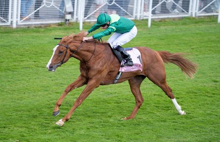 Benvenuto Cellini wins the Chester Vase Stakes at Chester Racecourse 
