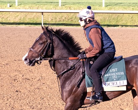 Ocelli trains May 12 at Laurel Park