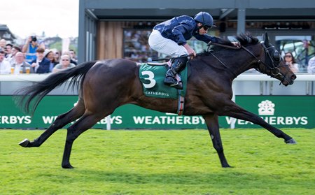 Amelia Earhart wins the Cheshire Oaks at Chester Racecourse