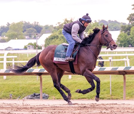 Crupper trains at Laurel Park