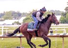 Crupper training at Laurel Park ahead of the 151st Preakness Stakes (G1)