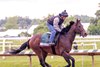 Crupper training at Laurel Park ahead of the 151st Preakness Stakes (G1)