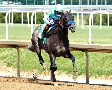 Madaket Road wins an allowance race at Churchill Downs