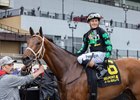 Irish Maxima wins the 2026 Ruffian Stakes at Aqueduct Racetrack
