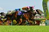 Rodeo Drive (outside) ekes out win in NHK Mile Cup at Tokyo Racecourse May 10. Credit Katsumi Saito.
