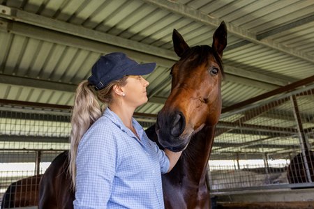Legarto (NZ), consigned as Lot 408, at the Gold Coast National Broodmare Sale
