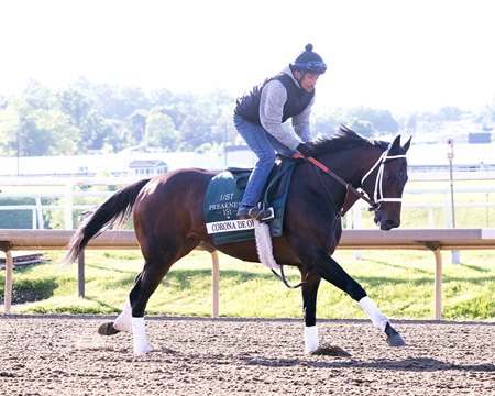Corona De Oro trains at Laurel Park