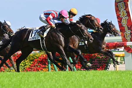 Lovcen (pink cap) wins the Tokyo Yushun at Tokyo Racecourse