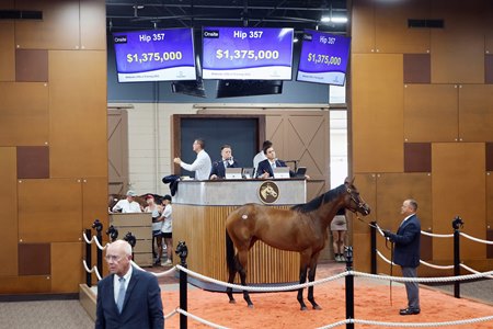 The Gun Runner filly, consigned as Hip 357 in the ring at the Fasig-Tipton Midlantic May Sale.