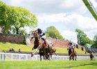 Adonius (Kaiya Fraser) straightens up in the home straight and win the Lily Agnes Stakes
Chester 6.5.26 Pic: Edward Whitaker