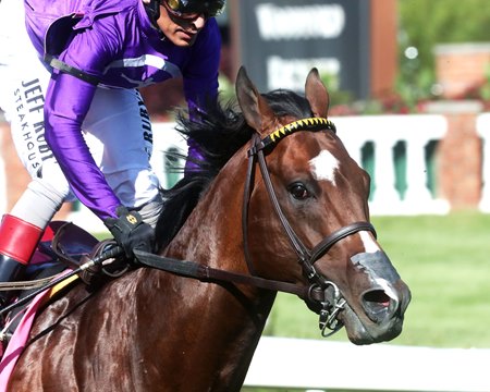 Trainer Wesley Ward will look for more success at Royal Ascot this year with Outfielder