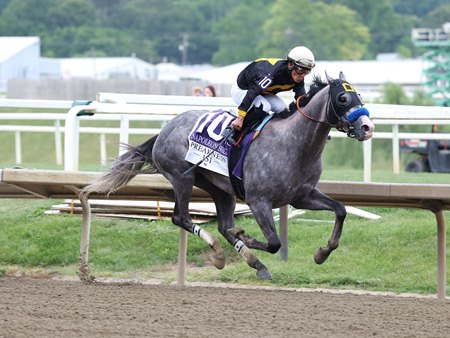 Napoleon Solo wins the Preakness Stakes at Laurel Park