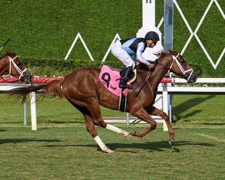 Code breaks her maiden at Gulfstream Park