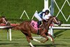 Code, Maiden Win, May 9 2026, Gulfstream Park