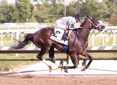 Navajo Warrior draws off in the stretch to post a clear victory in the Pimlico Special Stakes at Laurel Park