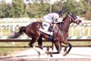 Navajo Warrior wins the 2026 Pimlico Special Stakes at Laurel Park