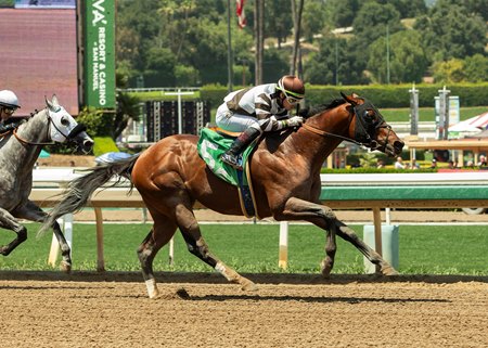 Big City Lights wins the Thor's Echo Stakes at Santa Anita Park