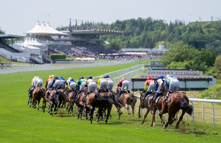 Racing at Goodwood Racecourse