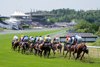 The runners in  the 7f Handicap head towards the stands
Goodwood 23.5.26 Pic: Edward Whitaker