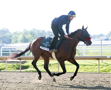 Robusta trains May 13 at Laurel Park