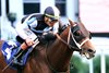 Built, AOC, May 21 2026, Churchill Downs