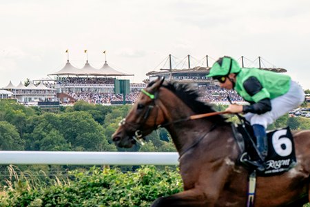 Racing at Goodwood Racecourse