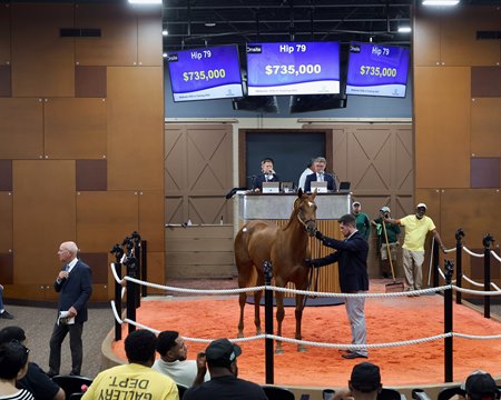 The Jackie's Warrior filly, consigned as Hip 79 in the ring at the Fasig-Tipton Midlantic May Sale