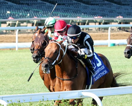 Lagynos wins the Arlington Stakes at Churchill Downs
