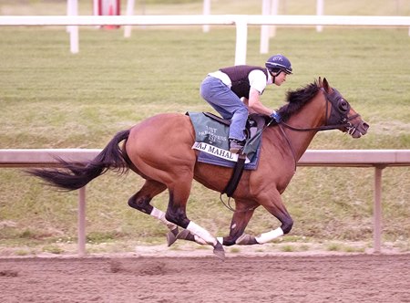 Taj Mahal breezes May 9 at Laurel Park