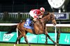 Burnham Square wins the 2026 Louisville Stakes at Churchill Downs