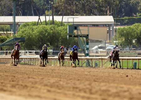 Forged Steel powers away from the field to win the Hollywood Gold Cup Stakes at Santa Anita Park