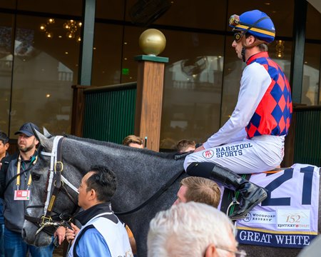 Great White exits the saddling paddock before the Kentucky Derby at Churchill Downs
