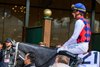 Great White in the paddock ahead of the Kentucky Derby on Saturday, May 2, 2026 at Churchill Downs