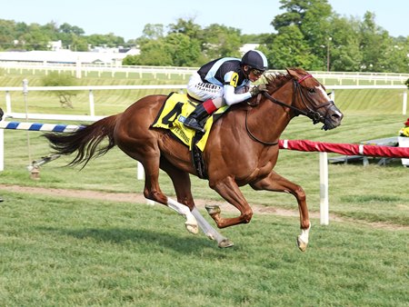 Warming finishes in a drive for a clear victory in the Gallorette Stakes at Laurel Park