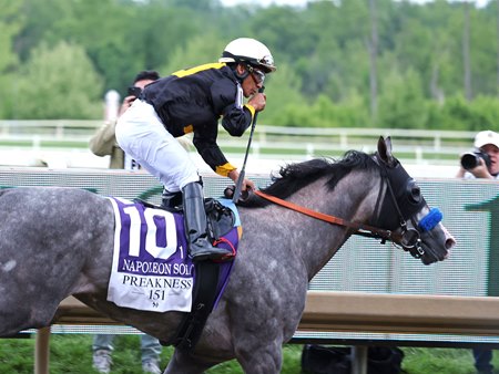 Napoleon Solo wins the Preakness Stakes at Laurel Park