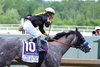 Napoleon Solo #10 with Paco Lopez riding won the $2,000,000 Grade I Preakness Stakes at Laurel Racecourse on Saturday May 16, 2026. Photo By Bill Denver/EQUI-PHOTO