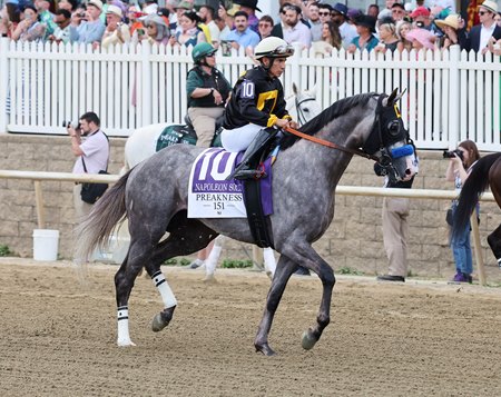Napoleon Solo at Laurel Park