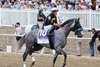 Napoleon Solo #10 with Paco Lopez riding warming up without a pony escort in the post parade prior to the $2,000,000 Grade I Preakness Stakes at Laurel Racecourse on Saturday May 16, 2026. Photo By Bill Denver/EQUI-PHOTO