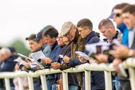 Prospective buyers watch the breezes for the Tattersalls Ireland Breeze Up Sale