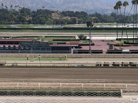 Santa Anita Park's turf course being renovated